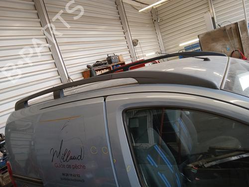 Dachreling für FIAT QUBO (225_) 1.3 D Multijet (225CXB1A, 225AXB1A, 225CXB11, 225AXB11,... (75 hp) 32684333