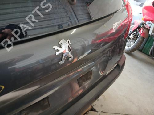 Tailgate PEUGEOT 207 SW (WK_) 1.6 HDi | BP32259335C6 