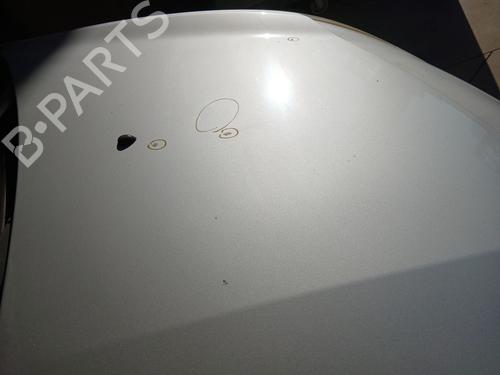 Hood RENAULT CLIO III (BR0/1, CR0/1) 1.4 16V | BP29240814C1 