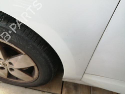 Left front fenders RENAULT SCÉNIC III (JZ0/1_) 1.9 dCi (JZ0J, JZ1J, JZ1K, JZ1S) | BP25741160C41 