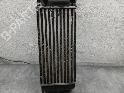 Used Intercooler PEUGEOT PARTNER Tepee 1.6 HDi (109 hp) 29004882