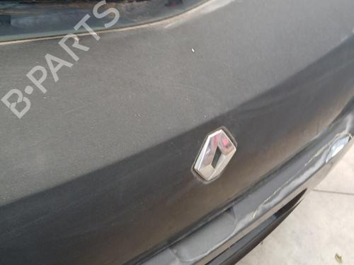 Tailgate RENAULT CLIO III (BR0/1, CR0/1) 1.5 dCi (BR17, CR17) | BP29307300C6 