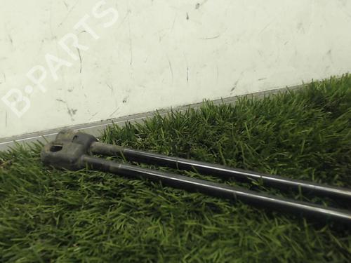 Tailgate lift support MINI MINI (R50, R53) One | BP20881317C138 