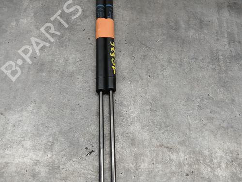 Used Tailgate lift support RENAULT GRAND SCÉNIC II (JM0/1_) 1.9 dCi (JM0G, JM12, JM1G, JM2C) (120 hp) 29567387