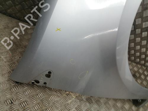 Right front fenders RENAULT CLIO III (BR0/1, CR0/1) 1.5 dCi (BR17, CR17) | BP24663812C42 