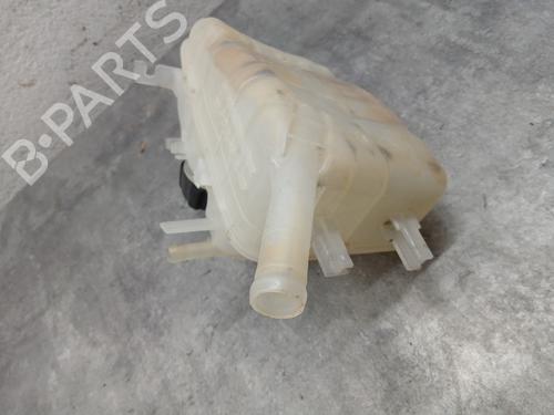Expansion tank RENAULT SCÉNIC III (JZ0/1_) 1.2 TCe | BP29564831C120 