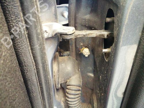 Hinge/Door check strap PEUGEOT 206 Hatchback (2A/C) 1.4 i | BP27586166C146 