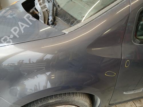Left front fenders RENAULT MODUS / GRAND MODUS (F/JP0_) 1.5 dCi (FP0D, JP0D) | BP31329990C41