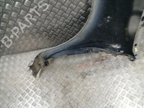 Right front fenders RENAULT CLIO III (BR0/1, CR0/1) 1.5 dCi (BR17, CR17) | BP24663812C42 