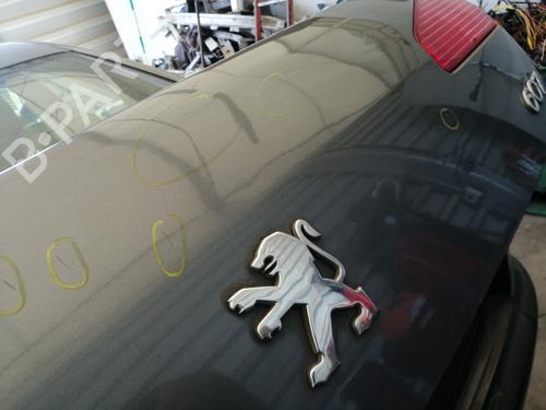 Tailgate PEUGEOT 607 (9D, 9U) 2.2 HDi | BP26885536C6