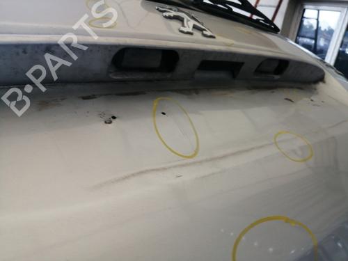 Tailgate PEUGEOT 307 Break (3E) 2.0 HDI 110 | BP26652491C6 
