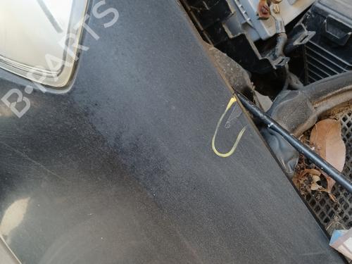 Left front fenders RENAULT CLIO III (BR0/1, CR0/1) 1.5 dCi (BR17, CR17) | BP29307292C41 