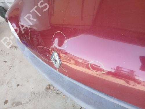 Cofano anteriore Cofano anteriore RENAULT TWINGO I (C06_) 1.2 (C063, C064) (55 hp) 36414769 36414769