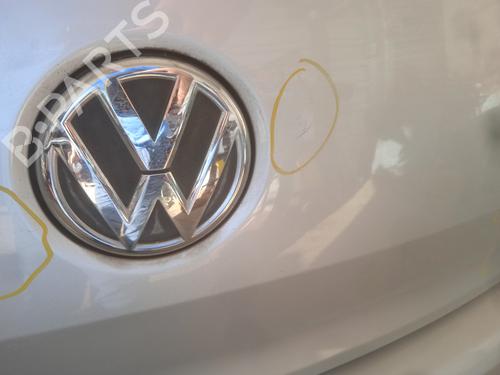 Tailgate VW POLO V (6R1, 6C1) 1.6 TDI | BP21282950C6 