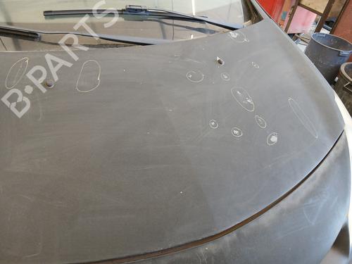 Hood RENAULT CLIO III (BR0/1, CR0/1) 1.5 dCi (BR17, CR17) | BP29307295C1 