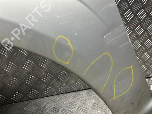 Left front fenders OPEL ZAFIRA / ZAFIRA FAMILY B (A05) 1.7 CDTI (M75) | BP21276445C41 