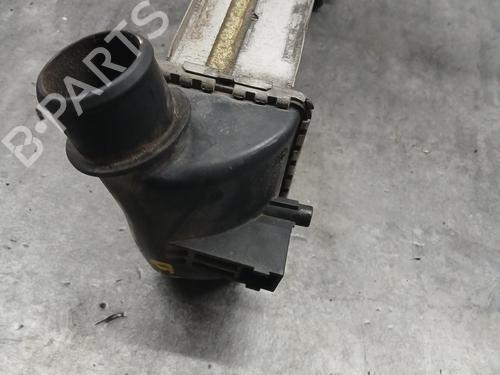 Intercooler FIAT 500 (312_) 1.3 D Multijet (312AXB1A) | BP31925862M30 