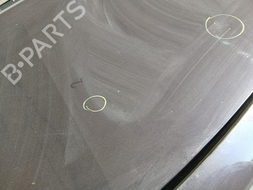 Hood RENAULT MEGANE II (BM0/1_, CM0/1_) 1.5 dCi (BM02, BM13, BM2A, CM02, CM13) | BP29327392C1 