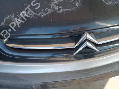 Grille CITROËN XSARA PICASSO (N68) 2.0 HDi | BP29256937C40 