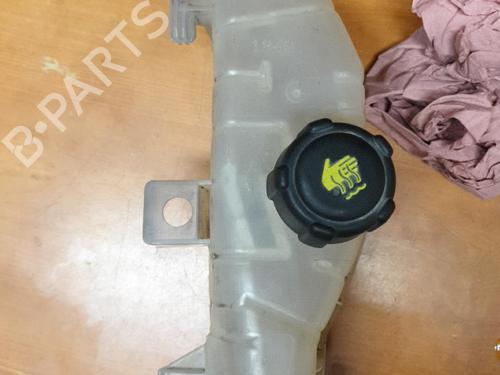 Expansion tank RENAULT CLIO III (BR0/1, CR0/1) 1.5 dCi (BR17, CR17) | BP21275804C120 