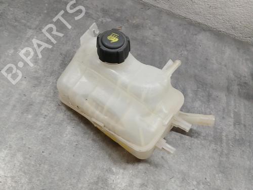 Used Expansion tank Expansion tank RENAULT SCÉNIC III (JZ0/1_) 1.2 TCe (116 hp) 29564831 29564831