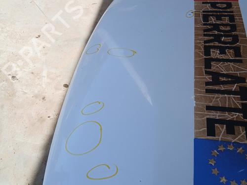 Used Hood Hood FIAT STRADA Pickup (178_, 278_) 1.3 D Multijet (278AYR1A) (95 hp) 35958893 35958893