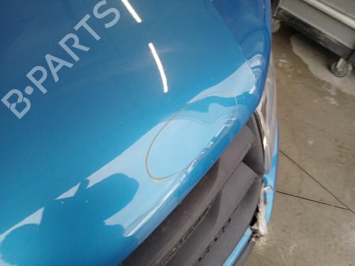 Hood DACIA SANDERO II 1.5 dCi | BP29736164C1 