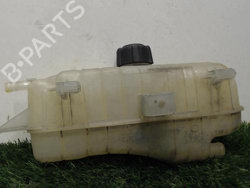 Used Expansion tank RENAULT CLIO III (BR0/1, CR0/1) 1.6 16V (BR05, BR0B, BR0Y, BR15, BR1J, BR1M, BR1Y, CR0B,... (112 hp) 20883725