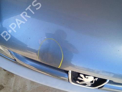 hood-peugeot-206-sw-2ek-2002-35926688 main image