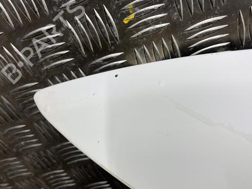 Left front fenders FORD TRANSIT Platform/Chassis (FM_ _, FN_ _) 2.0 TDCi (F_E_, F_F_) | BP29956928C41