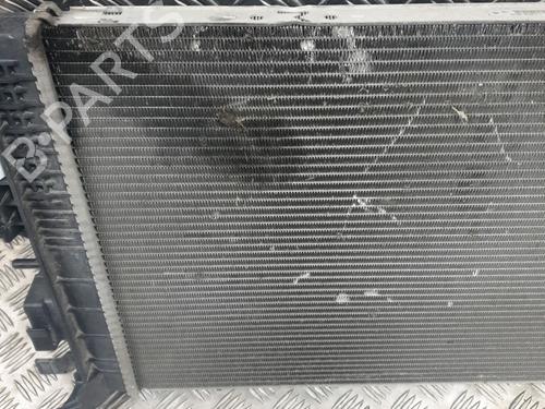 Water radiator RENAULT SCÉNIC III (JZ0/1_) 1.2 TCe | BP29488621M31 