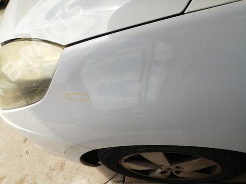 Left front fenders RENAULT SCÉNIC III (JZ0/1_) 1.9 dCi (JZ0J, JZ1J, JZ1K, JZ1S) | BP25741160C41 