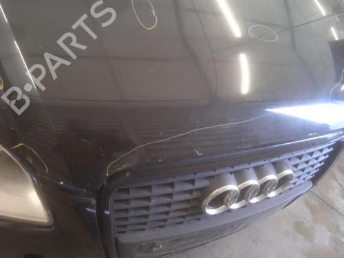 Hood AUDI A4 B7 (8EC) 2.0 TDI 16V | BP22549421C1 
