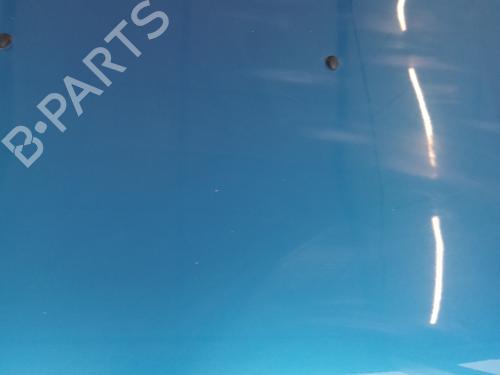 Hood DACIA SANDERO II 1.5 dCi | BP29736164C1 