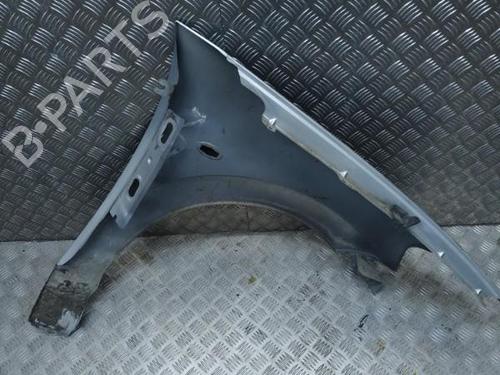 Left front fenders CITROËN C3 I (FC_, FN_) 1.4 HDi | BP21276396C41 