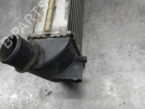 Intercooler FIAT 500 (312_) 1.3 D Multijet (312AXB1A) | BP31925862M30 