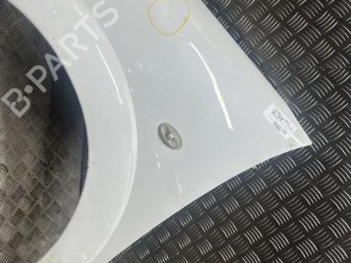 Left front fenders CITROËN C3 I (FC_, FN_) 1.4 HDi | BP21276561C41 