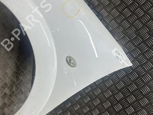 Left front fenders CITROËN C3 I (FC_, FN_) 1.4 HDi | BP21276561C41 