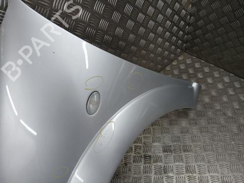 Left front fenders CITROËN C3 I (FC_, FN_) 1.4 HDi | BP29121121C41 