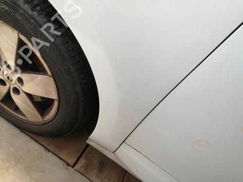 Left front fenders RENAULT SCÉNIC III (JZ0/1_) 1.9 dCi (JZ0J, JZ1J, JZ1K, JZ1S) | BP25741160C41 