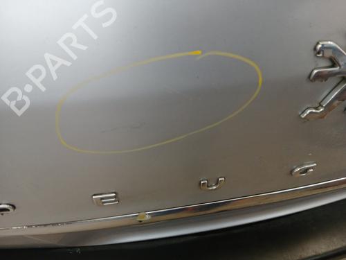 Tailgate PEUGEOT 807 (EB_) 2.0 HDi | BP29854169C6