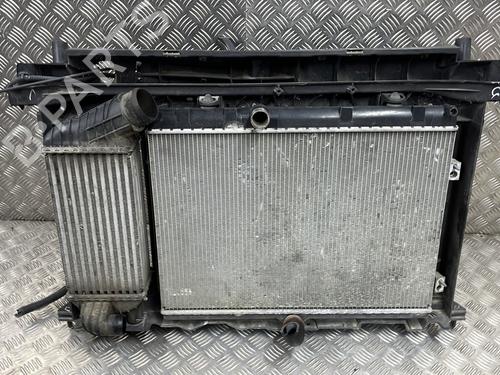 Used Front slam panel CITROËN DS5 2.0 HDi 165 (163 hp) 26932342