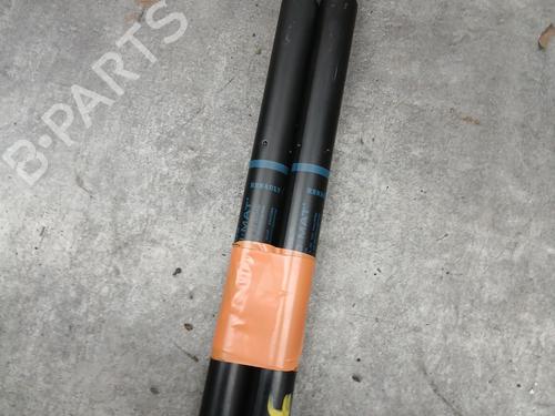 Tailgate lift support RENAULT GRAND SCÉNIC II (JM0/1_) 1.9 dCi (JM0G, JM12, JM1G, JM2C) | BP29567387C138 