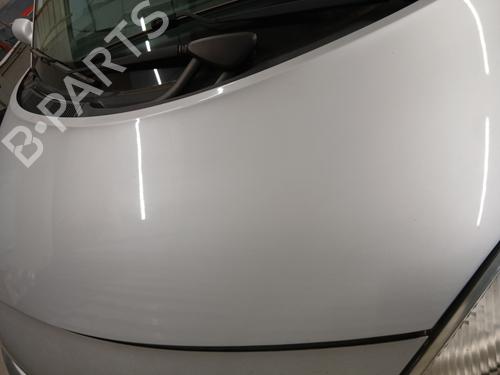 Motorhjelm RENAULT GRAND SCÉNIC II (JM0/1_) 1.5 dCi (JM02, JM13) | BP29956876C1