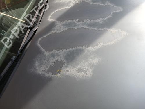 Motorhjelm OPEL ASTRA H (A04) 1.7 CDTI (L48) (100 hp) 29936017