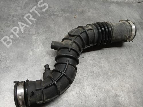Pipe RENAULT SCÉNIC III (JZ0/1_) 1.2 TCe | BP29564832M125