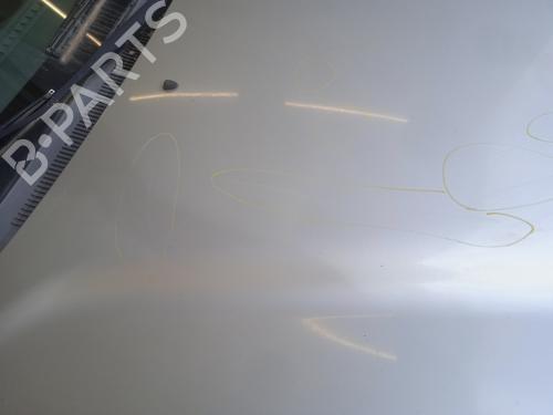 Hood HYUNDAI SANTA FÉ I (SM) 2.0 CRDi 4x4 | BP21282759C1 