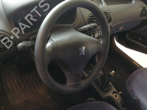 Rat PEUGEOT 206 Hatchback (2A/C) 1.9 D (69 hp) 27934329