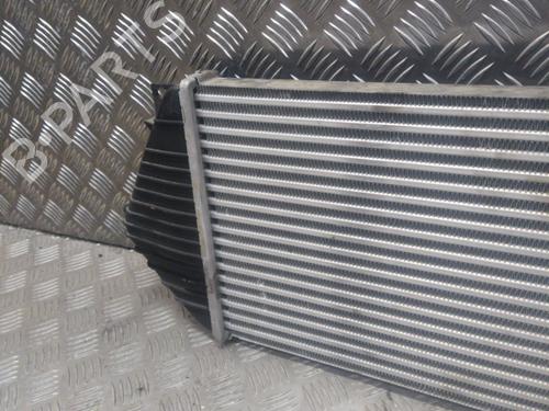 Intercooler MERCEDES-BENZ M-CLASS (W163) ML 270 CDI (163.113) | BP20886782M30 