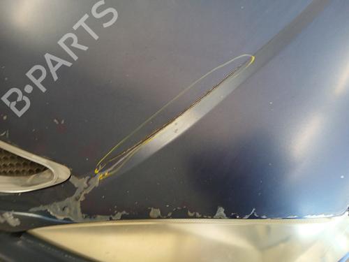 Used Hood RENAULT MEGANE I Coach (DA0/1_) 1.6 16V (DA0B, DA04, DA11) (107 hp) 30409260